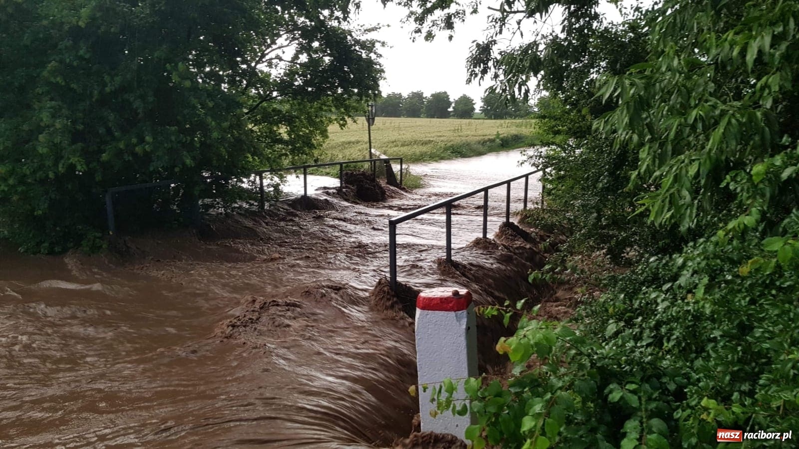 Zdjęcie w galerii na portalu naszraciborz.pl: Raport 998. Woda pokazała swą niszczycielską moc [FOTO i WIDEO] wiadomości z regionu