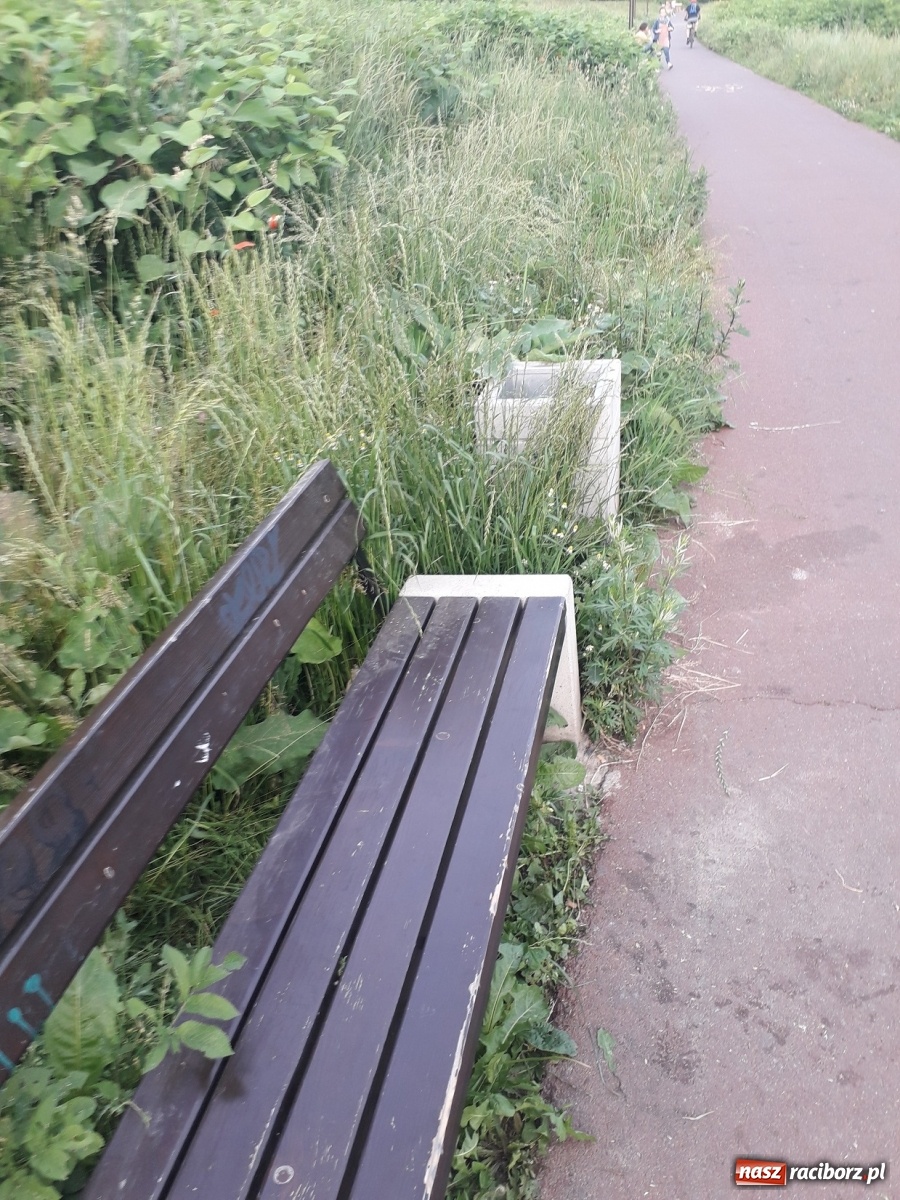 Zdjęcie w galerii na portalu naszraciborz.pl: Czy z nowymi bulwarami też tak będzie?  wiadomości z regionu