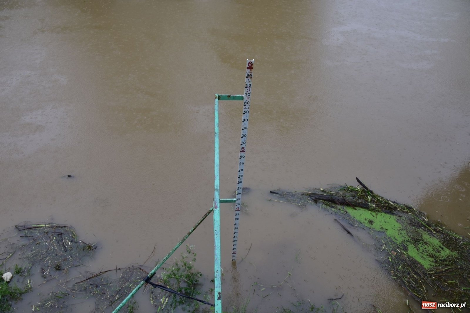 Zdjęcie w galerii na portalu naszraciborz.pl: Wezbranie Odry 20.06.2020 Racibórz - Grzegorzowice [ZDJĘCIA] wiadomości z regionu