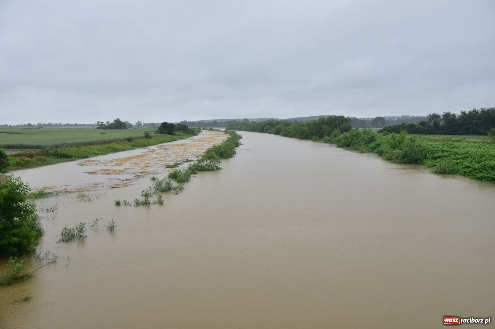Zdjęcie w galerii na portalu naszraciborz.pl: Wezbranie Odry 20.06.2020 Racibórz - Grzegorzowice [ZDJĘCIA] wiadomości z regionu