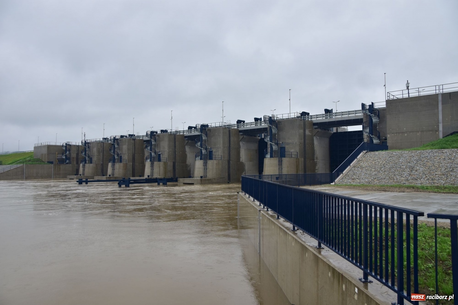 Zdjęcie w galerii na portalu naszraciborz.pl: Wezbranie Odry 20.06.2020 Racibórz - Grzegorzowice [ZDJĘCIA] wiadomości z regionu