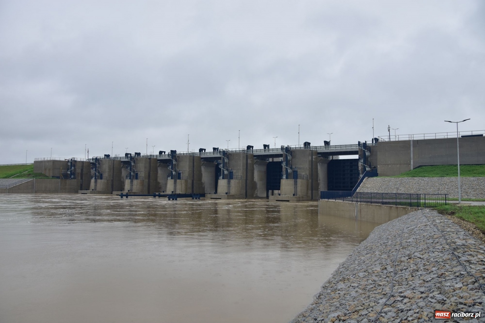 Zdjęcie w galerii na portalu naszraciborz.pl: Wezbranie Odry 20.06.2020 Racibórz - Grzegorzowice [ZDJĘCIA] wiadomości z regionu