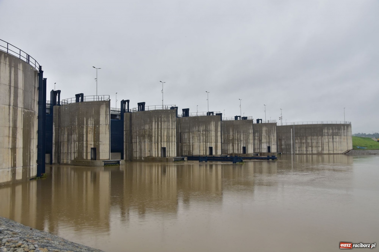 Zdjęcie w galerii na portalu naszraciborz.pl: Wezbranie Odry 20.06.2020 Racibórz - Grzegorzowice [ZDJĘCIA] wiadomości z regionu