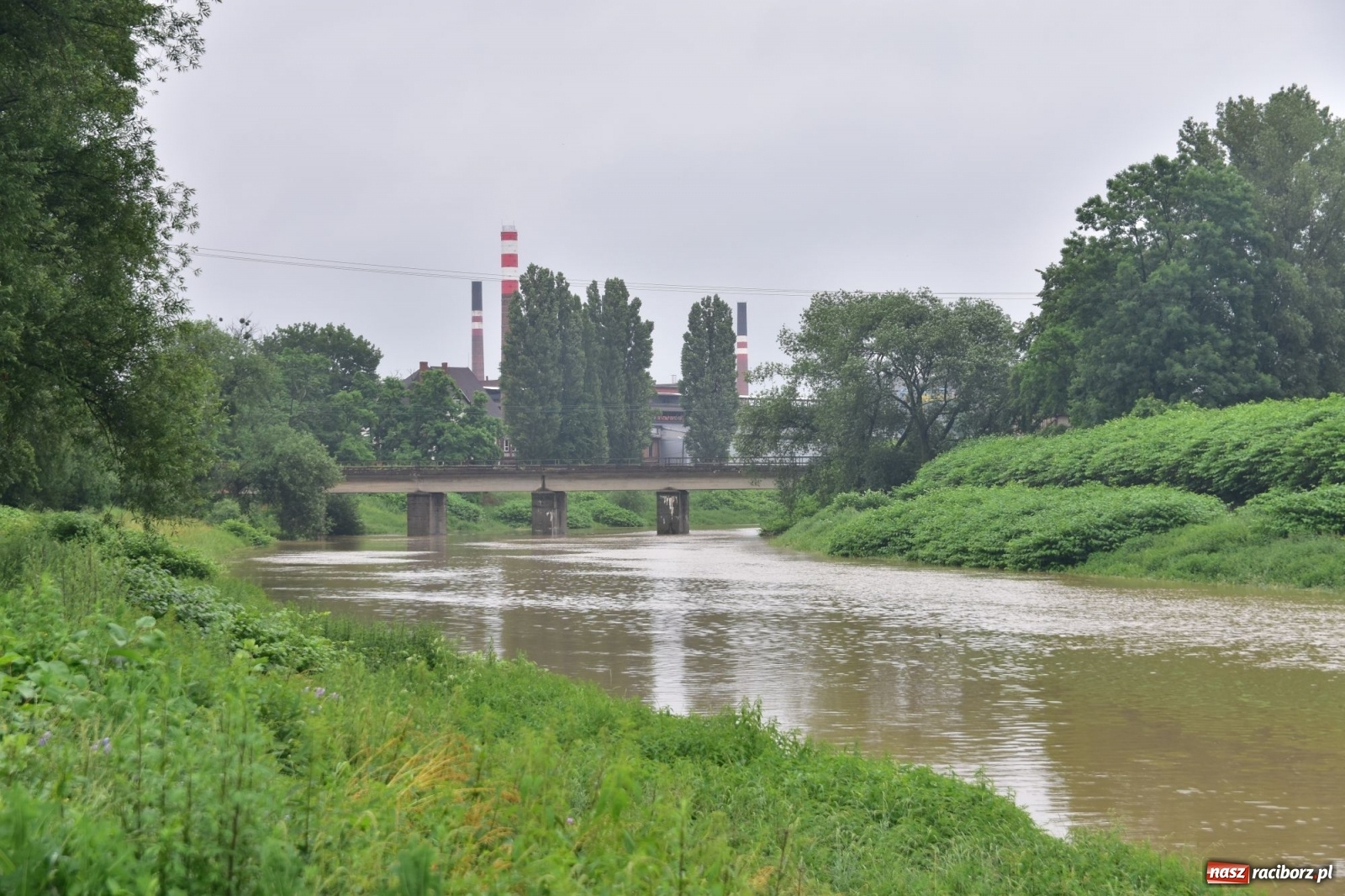 Zdjęcie w galerii na portalu naszraciborz.pl: Wezbranie Odry 20.06.2020 Racibórz - Grzegorzowice [ZDJĘCIA] wiadomości z regionu