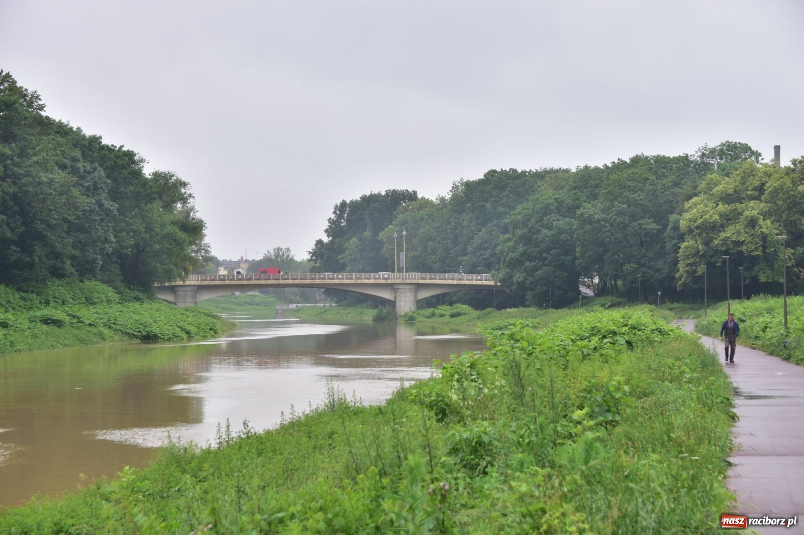 Zdjęcie w galerii na portalu naszraciborz.pl: Wezbranie Odry 20.06.2020 Racibórz - Grzegorzowice [ZDJĘCIA] wiadomości z regionu