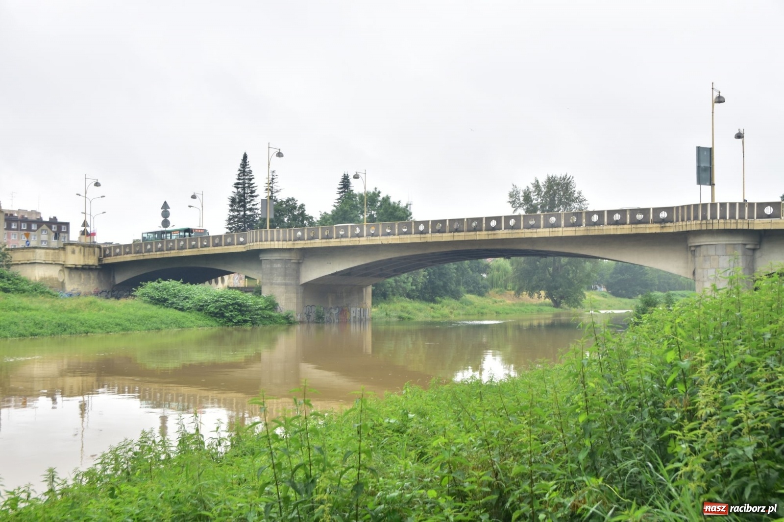 Zdjęcie w galerii na portalu naszraciborz.pl: Wezbranie Odry 20.06.2020 Racibórz - Grzegorzowice [ZDJĘCIA] wiadomości z regionu
