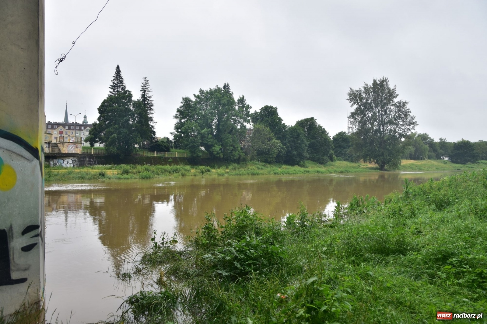 Zdjęcie w galerii na portalu naszraciborz.pl: Wezbranie Odry 20.06.2020 Racibórz - Grzegorzowice [ZDJĘCIA] wiadomości z regionu