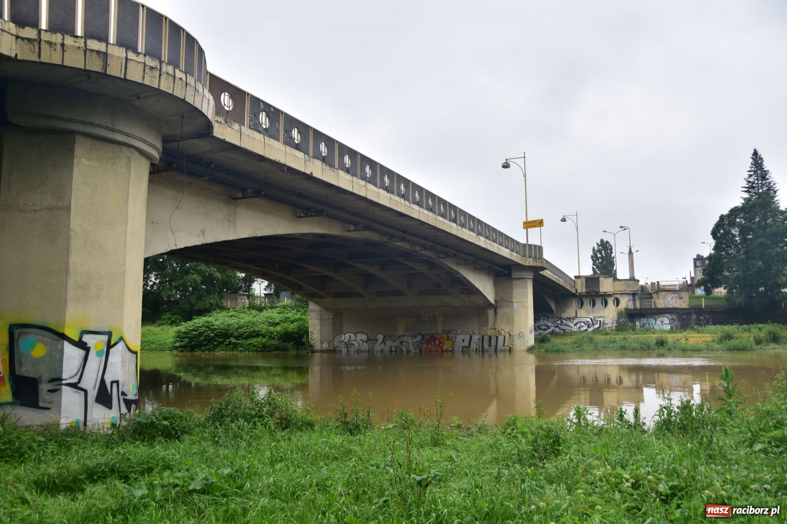 Zdjęcie w galerii na portalu naszraciborz.pl: Wezbranie Odry 20.06.2020 Racibórz - Grzegorzowice [ZDJĘCIA] wiadomości z regionu