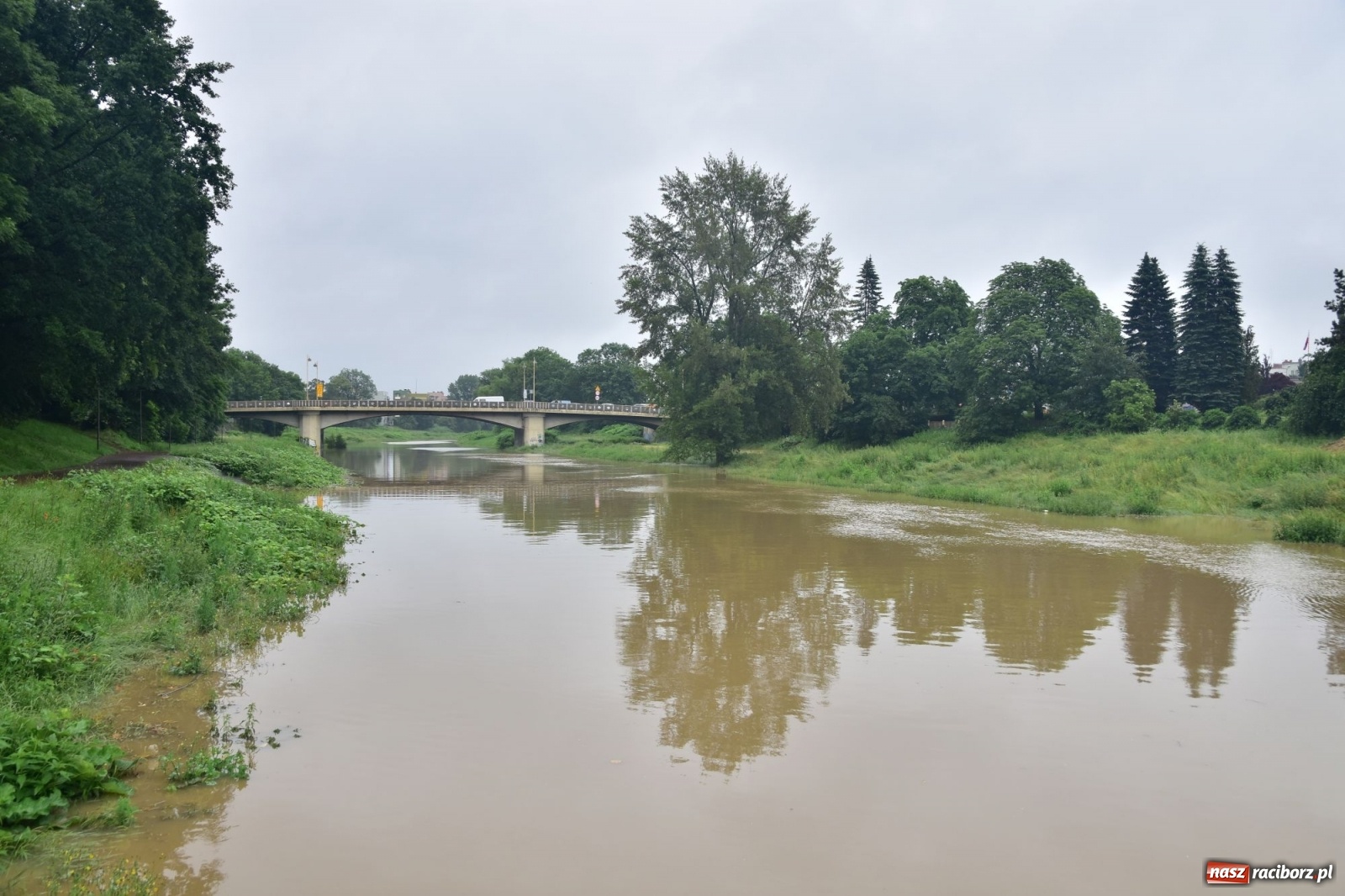 Zdjęcie w galerii na portalu naszraciborz.pl: Wezbranie Odry 20.06.2020 Racibórz - Grzegorzowice [ZDJĘCIA] wiadomości z regionu