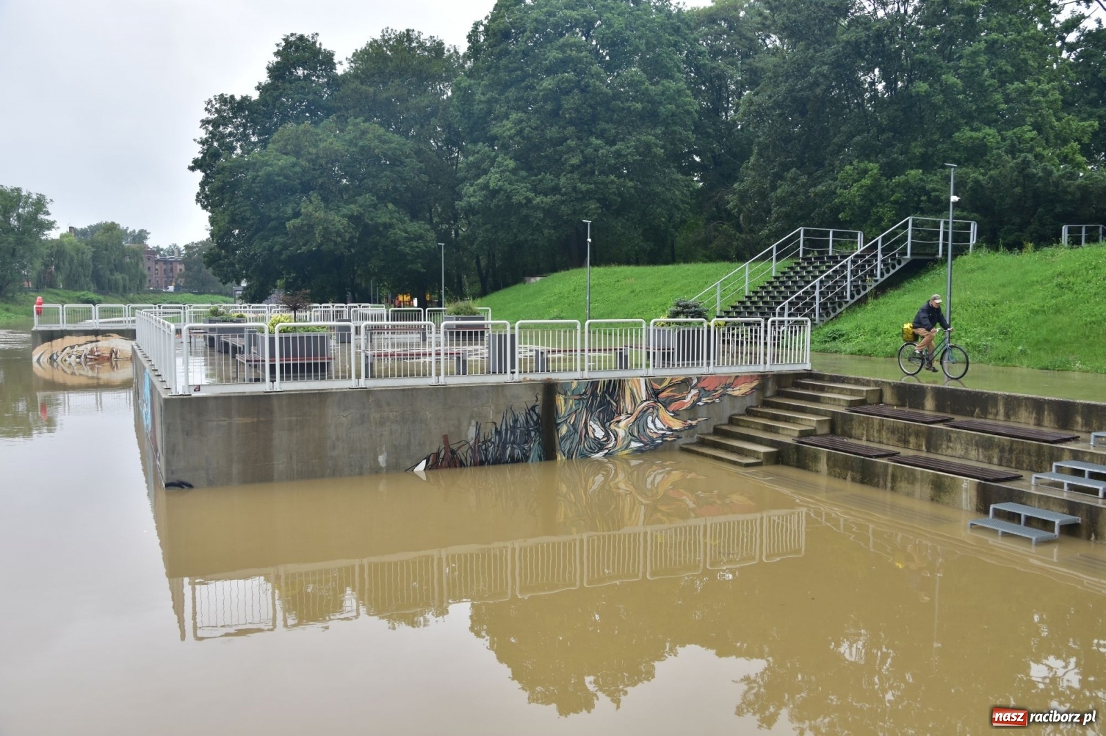 Zdjęcie w galerii na portalu naszraciborz.pl: Wezbranie Odry 20.06.2020 Racibórz - Grzegorzowice [ZDJĘCIA] wiadomości z regionu