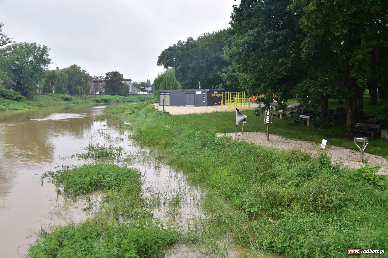 Zdjęcie w galerii na portalu naszraciborz.pl: Wezbranie Odry 20.06.2020 Racibórz - Grzegorzowice [ZDJĘCIA] wiadomości z regionu