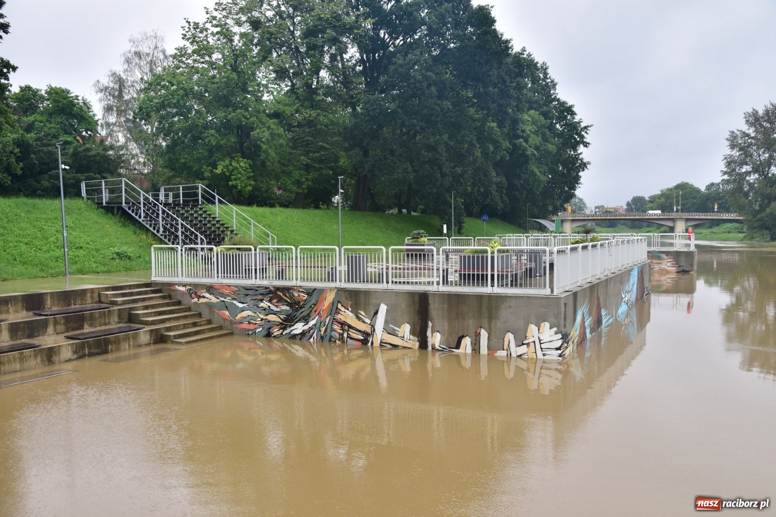 Zdjęcie w galerii na portalu naszraciborz.pl: Wezbranie Odry 20.06.2020 Racibórz - Grzegorzowice [ZDJĘCIA] wiadomości z regionu