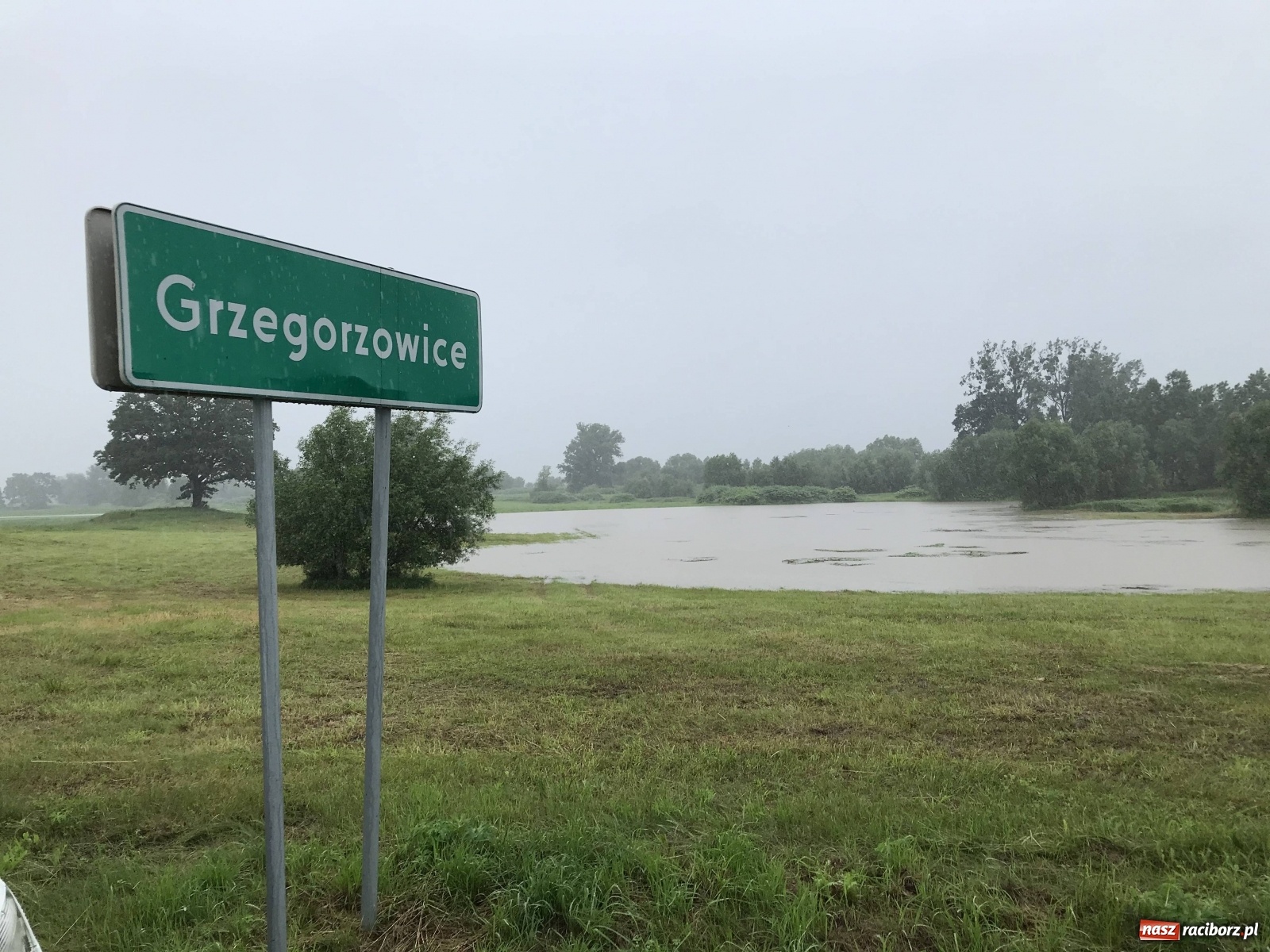 Zdjęcie w galerii na portalu naszraciborz.pl: Wezbranie Odry 20.06.2020 Racibórz - Grzegorzowice [ZDJĘCIA] wiadomości z regionu