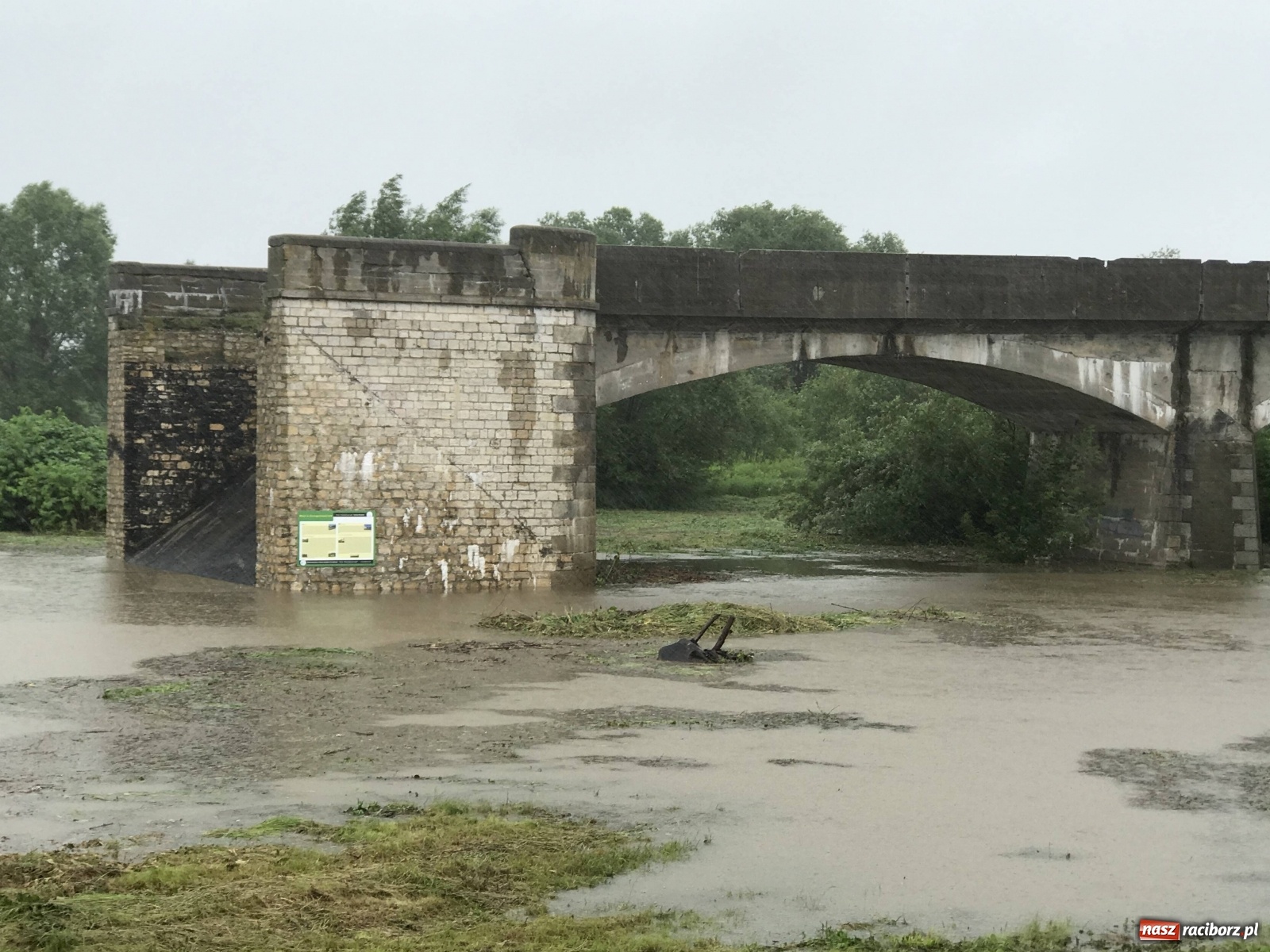 Zdjęcie w galerii na portalu naszraciborz.pl: Wezbranie Odry 20.06.2020 Racibórz - Grzegorzowice [ZDJĘCIA] wiadomości z regionu