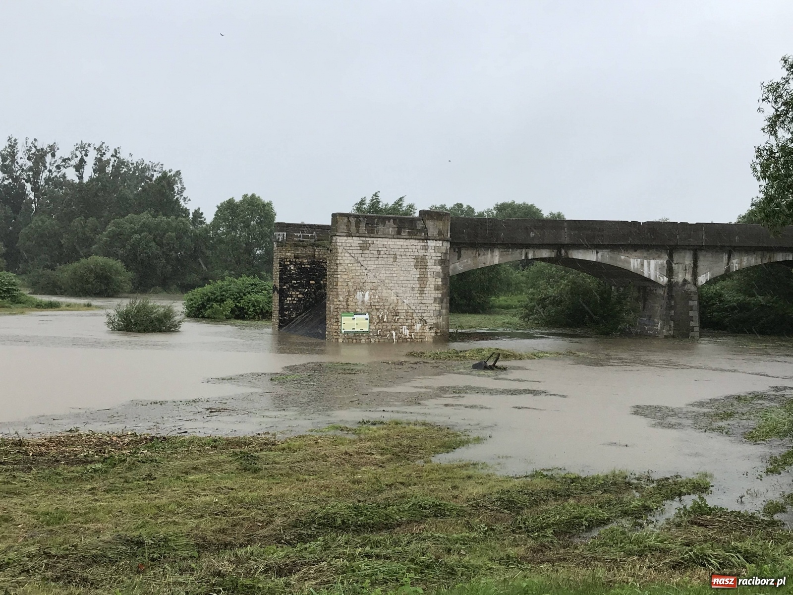 Zdjęcie w galerii na portalu naszraciborz.pl: Wezbranie Odry 20.06.2020 Racibórz - Grzegorzowice [ZDJĘCIA] wiadomości z regionu