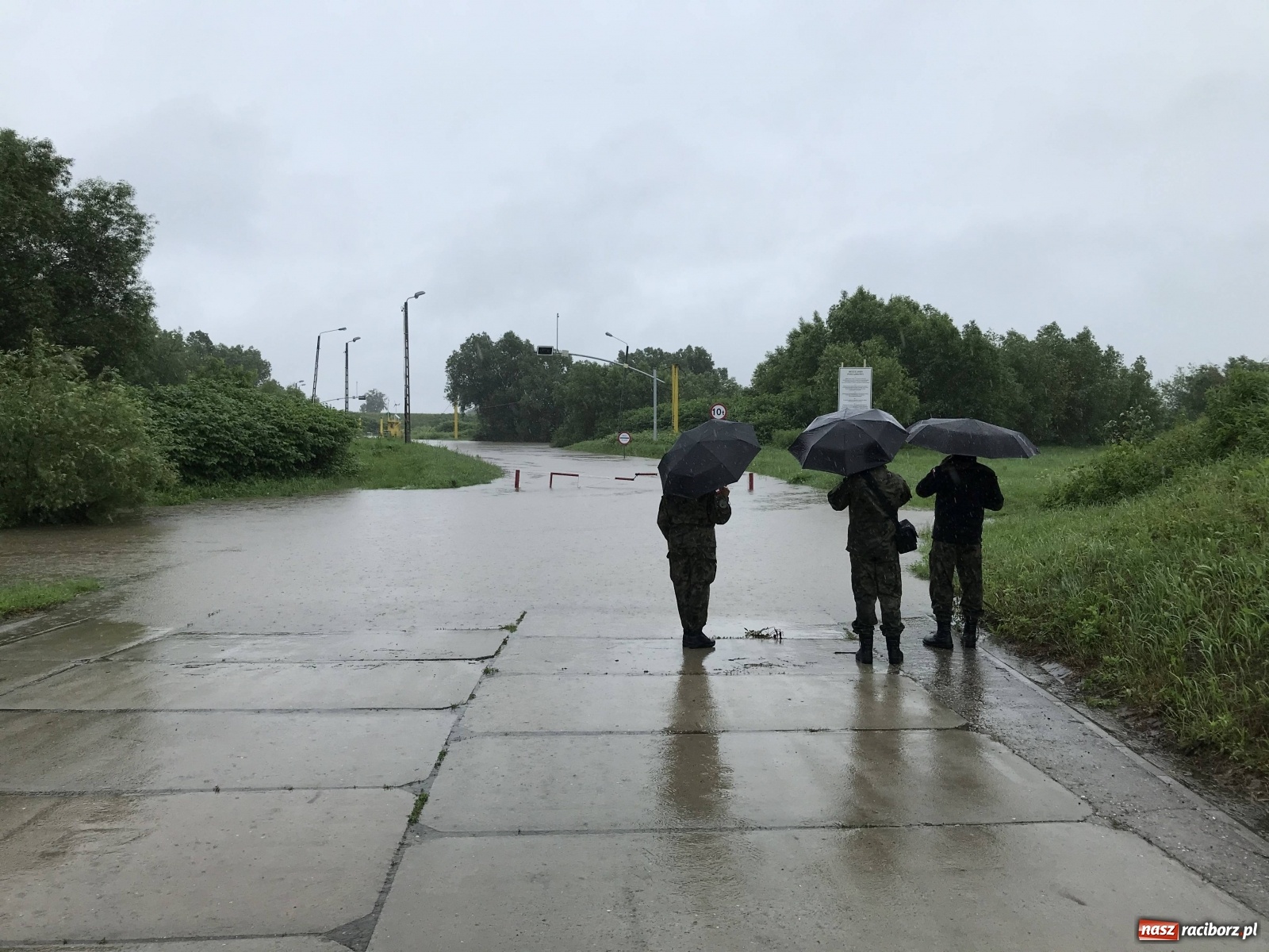Zdjęcie w galerii na portalu naszraciborz.pl: Wezbranie Odry 20.06.2020 Racibórz - Grzegorzowice [ZDJĘCIA] wiadomości z regionu