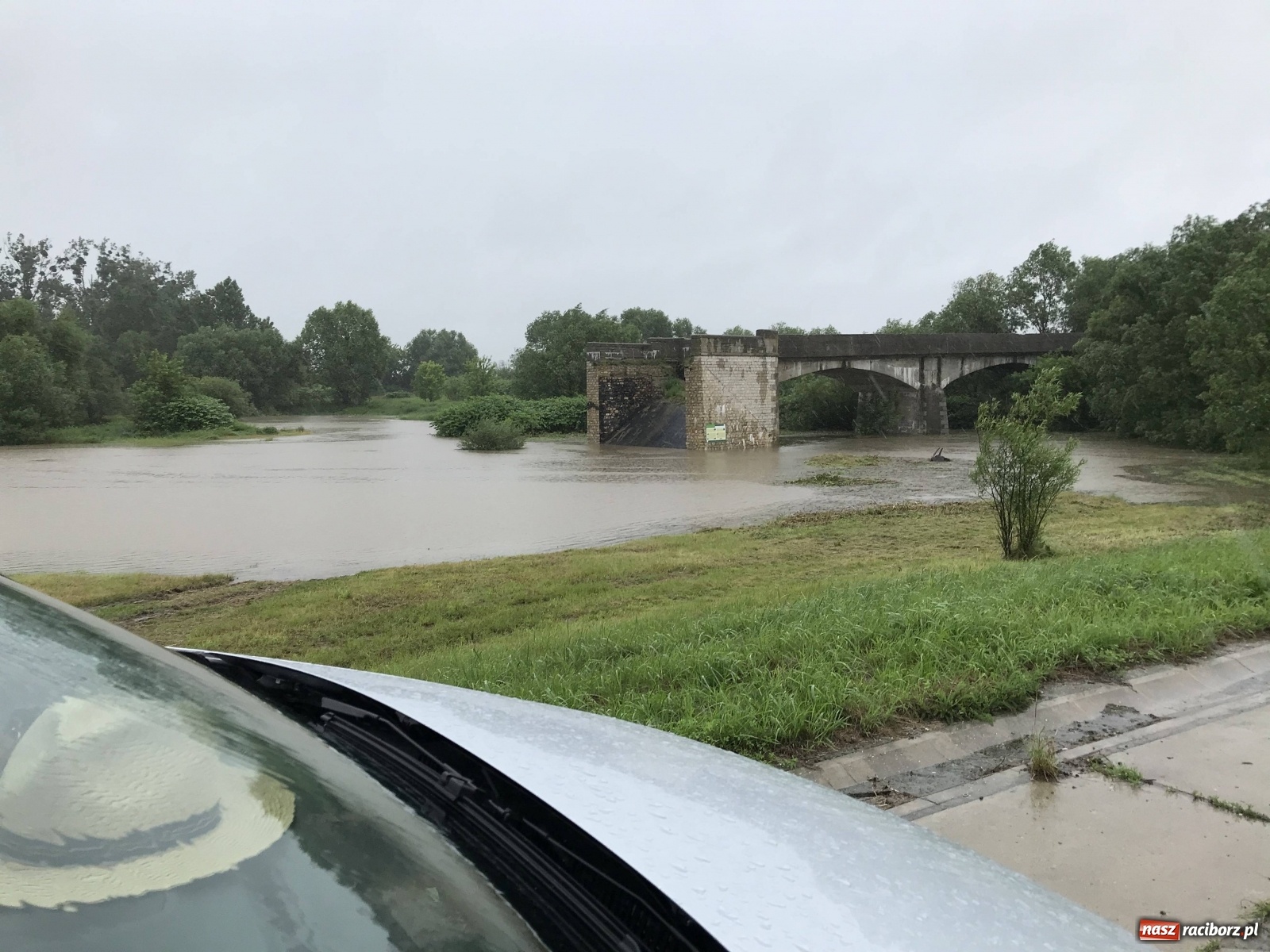 Zdjęcie w galerii na portalu naszraciborz.pl: Wezbranie Odry 20.06.2020 Racibórz - Grzegorzowice [ZDJĘCIA] wiadomości z regionu