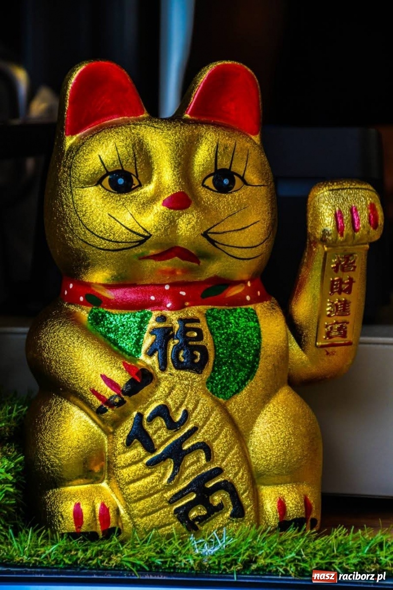 Zdjęcie w galerii na portalu naszraciborz.pl: Na Zamku Piastowskim ruszył Weekend Food Trucków  wiadomości z regionu