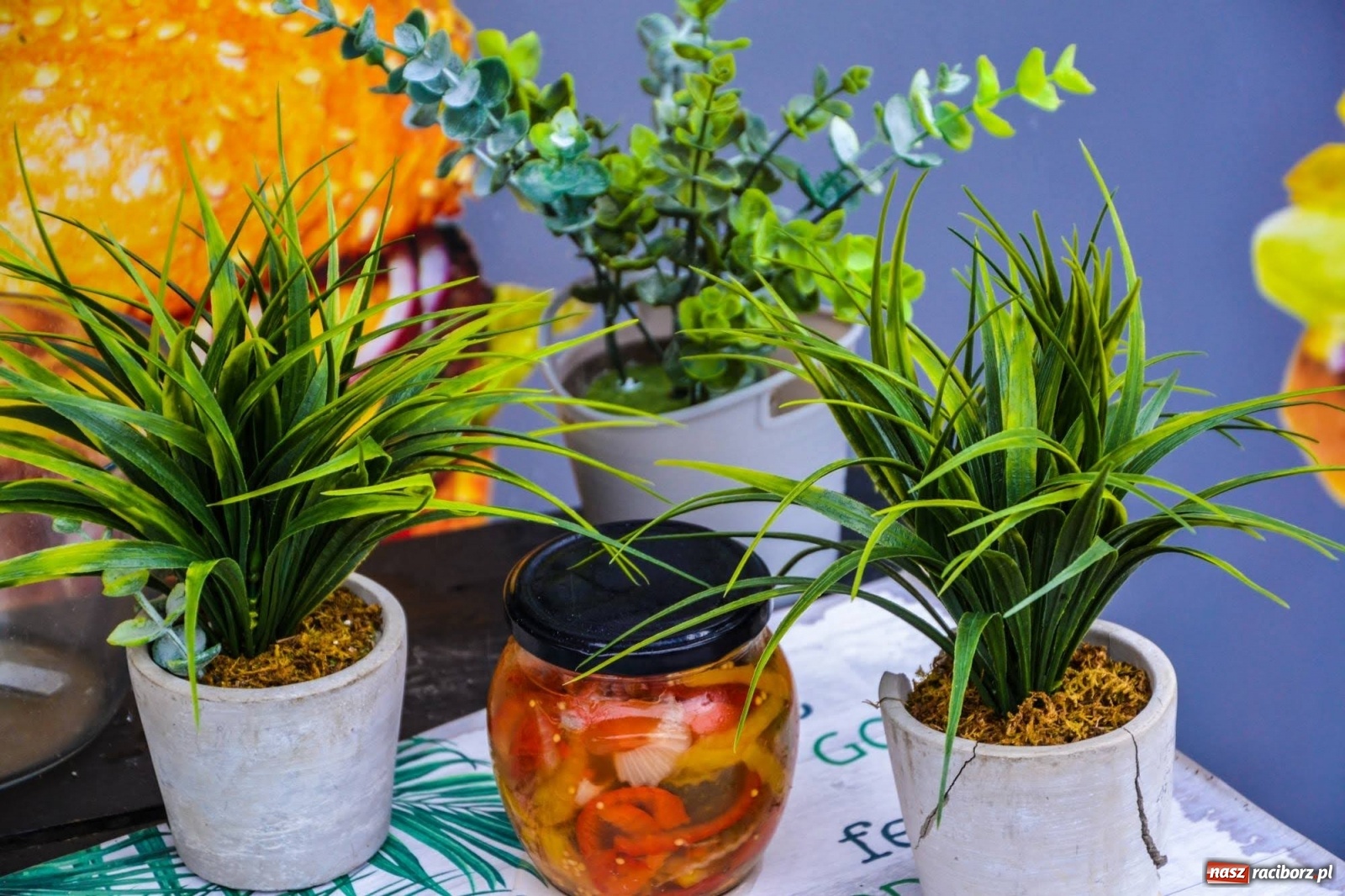 Zdjęcie w galerii na portalu naszraciborz.pl: Na Zamku Piastowskim ruszył Weekend Food Trucków  wiadomości z regionu