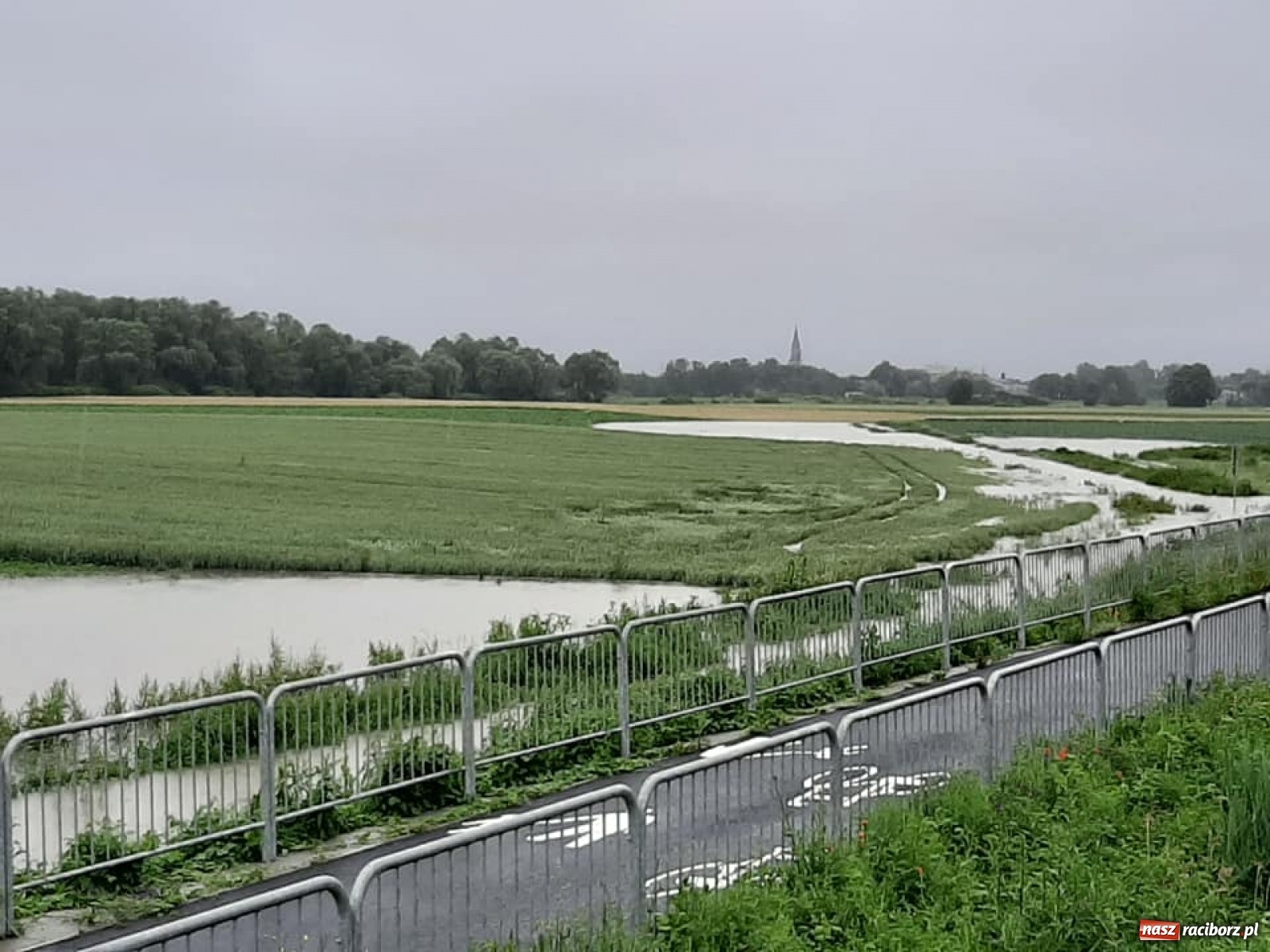 Zdjęcie w galerii na portalu naszraciborz.pl: Stany alarmowe na Odrze przekroczone. Czy grozi nam powódź?  wiadomości z regionu
