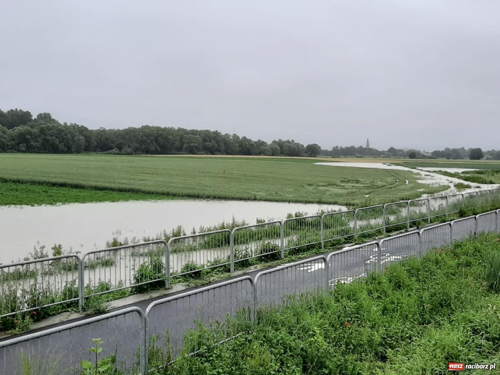Zdjęcie w galerii na portalu naszraciborz.pl: Stany alarmowe na Odrze przekroczone. Czy grozi nam powódź?  wiadomości z regionu