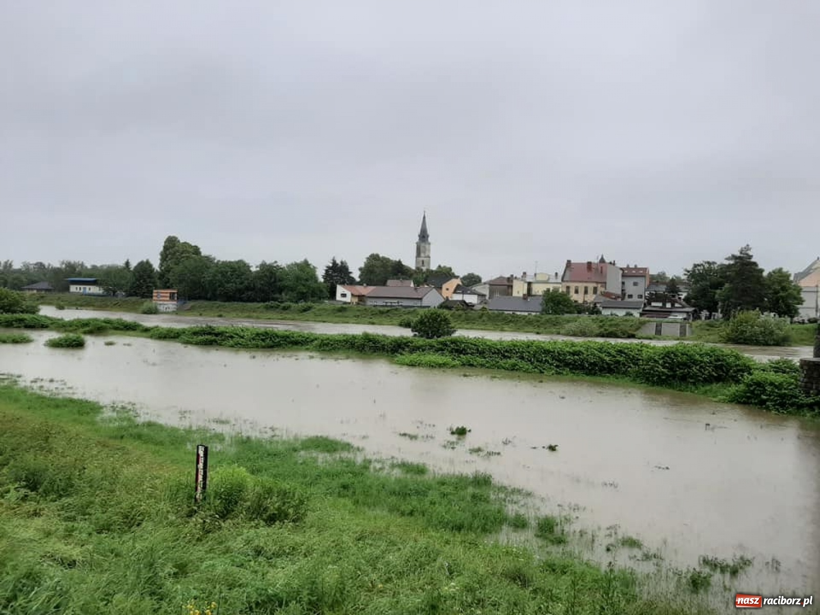 Zdjęcie w galerii na portalu naszraciborz.pl: Stany alarmowe na Odrze przekroczone. Czy grozi nam powódź?  wiadomości z regionu