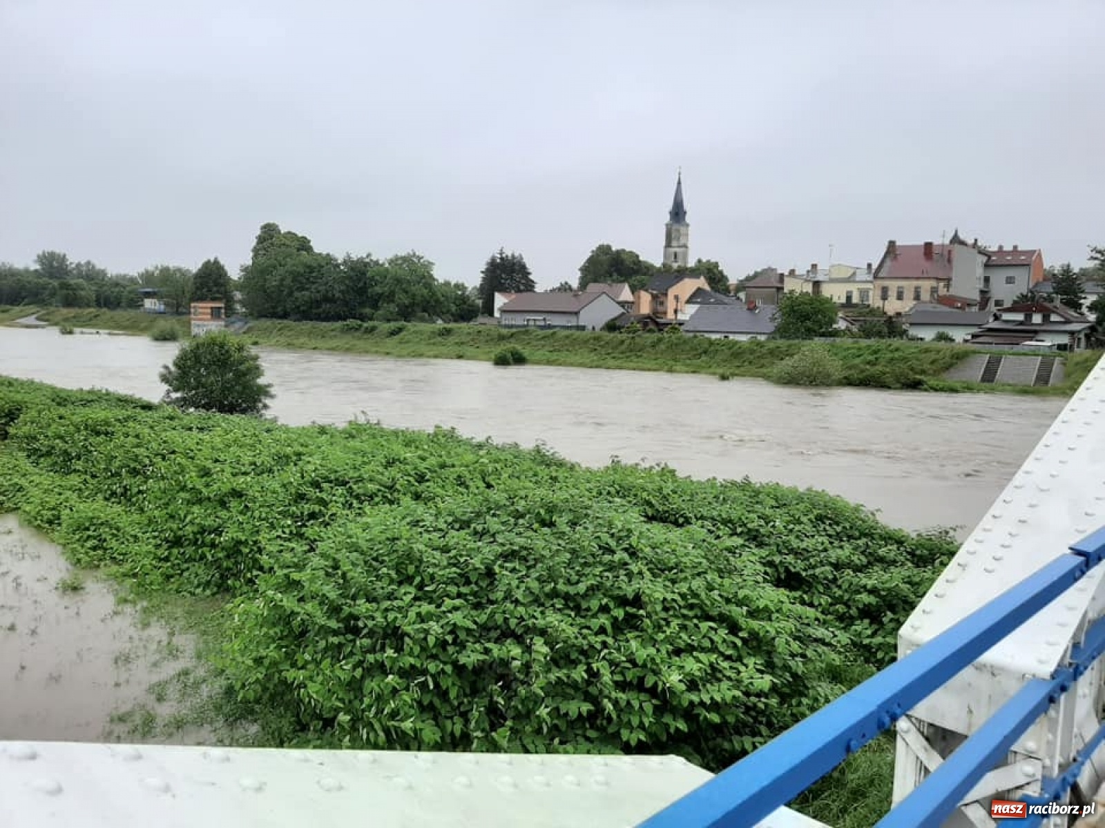 Zdjęcie w galerii na portalu naszraciborz.pl: Stany alarmowe na Odrze przekroczone. Czy grozi nam powódź?  wiadomości z regionu