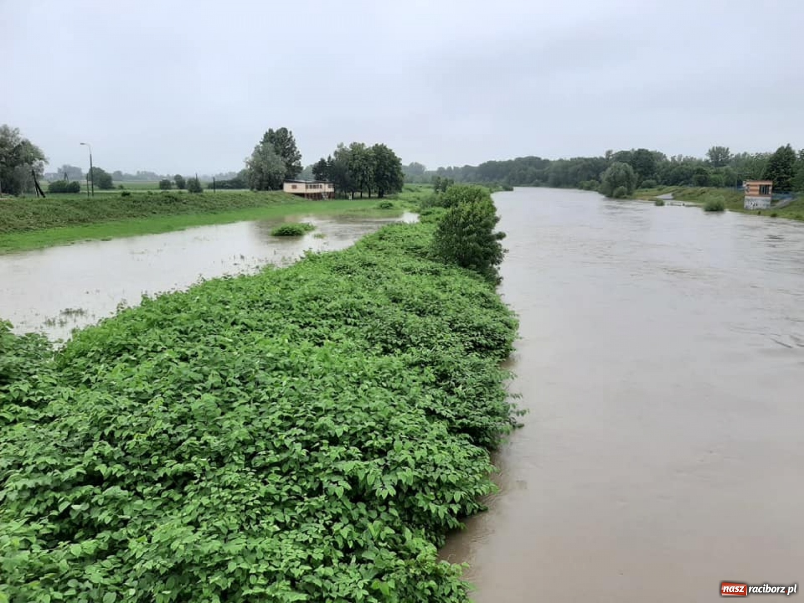 Zdjęcie w galerii na portalu naszraciborz.pl: Stany alarmowe na Odrze przekroczone. Czy grozi nam powódź?  wiadomości z regionu