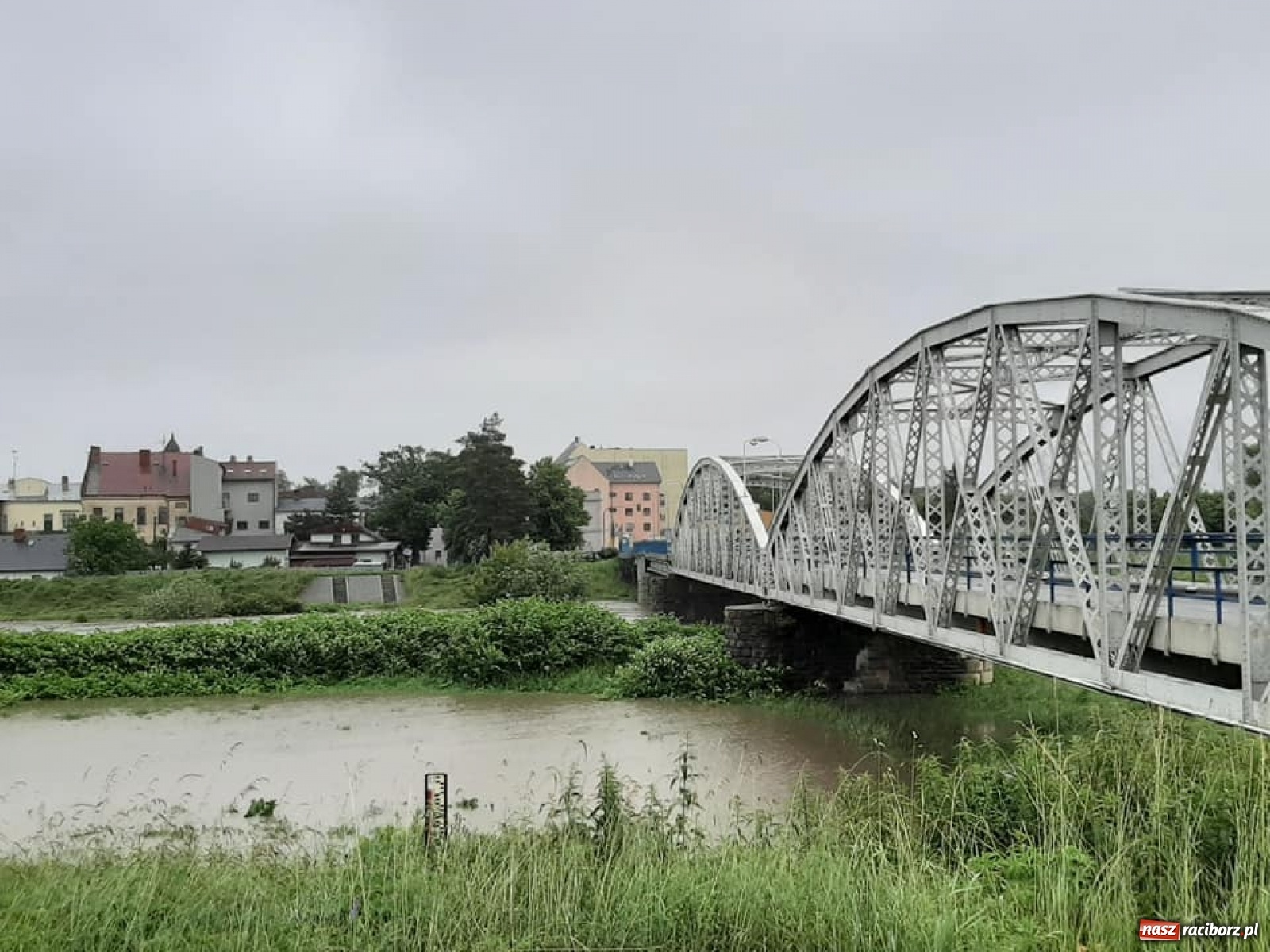 Zdjęcie w galerii na portalu naszraciborz.pl: Stany alarmowe na Odrze przekroczone. Czy grozi nam powódź?  wiadomości z regionu
