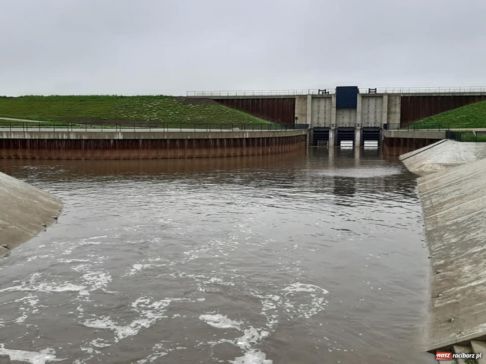 Zdjęcie w galerii na portalu naszraciborz.pl: Stany alarmowe na Odrze przekroczone. Czy grozi nam powódź?  wiadomości z regionu