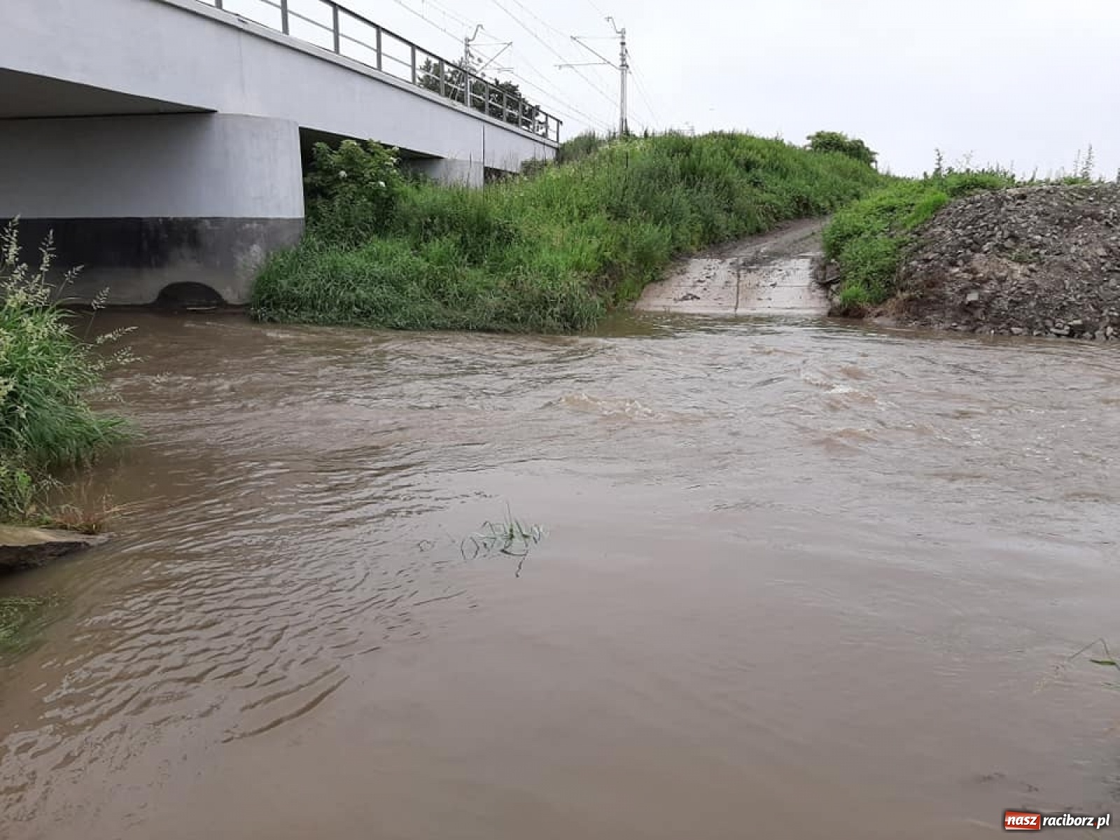 Zdjęcie w galerii na portalu naszraciborz.pl: Stany alarmowe na Odrze przekroczone. Czy grozi nam powódź?  wiadomości z regionu
