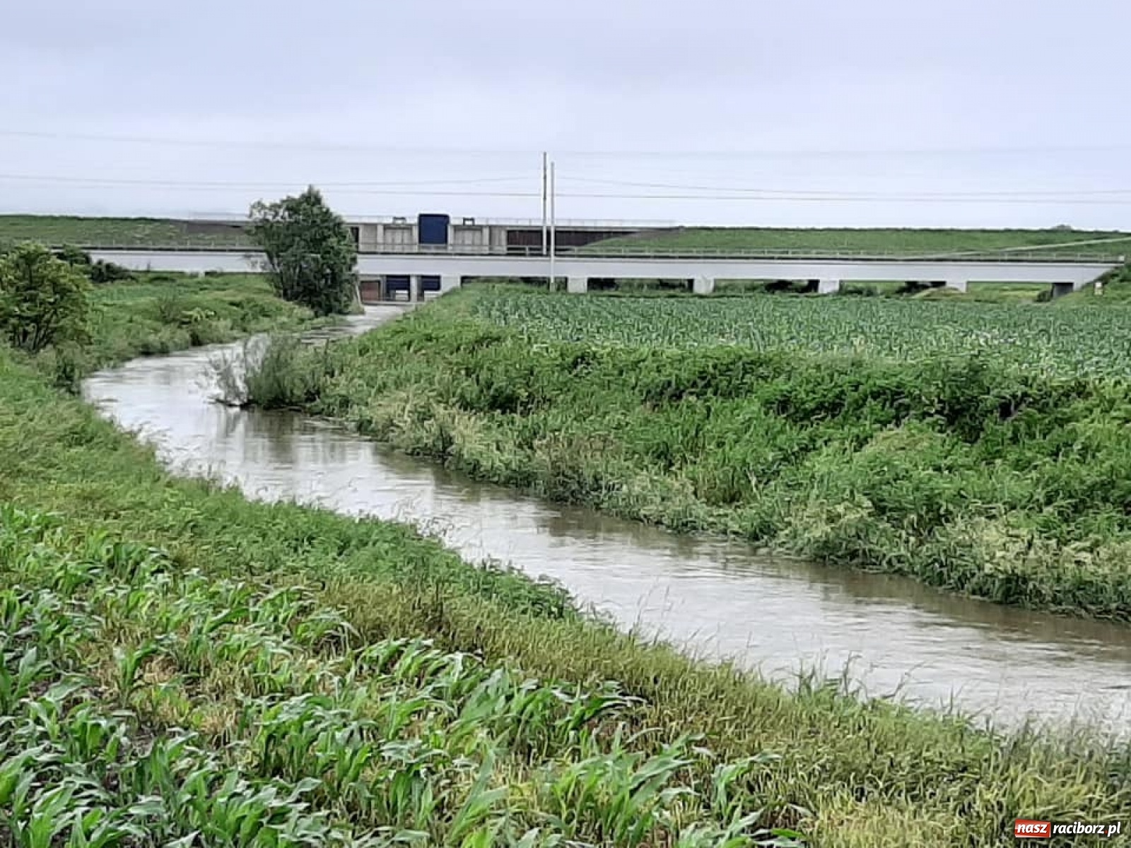 Zdjęcie w galerii na portalu naszraciborz.pl: Stany alarmowe na Odrze przekroczone. Czy grozi nam powódź?  wiadomości z regionu