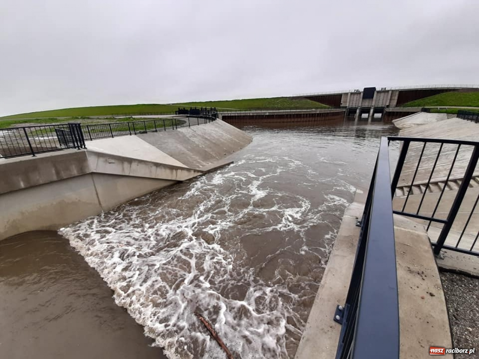 Zdjęcie w galerii na portalu naszraciborz.pl: Stany alarmowe na Odrze przekroczone. Czy grozi nam powódź?  wiadomości z regionu