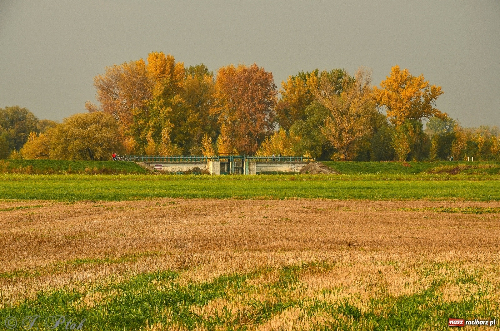 Zdjęcie w galerii na portalu naszraciborz.pl: To miejsce wygląda dziś całkiem inaczej [FOTO]  wiadomości z regionu