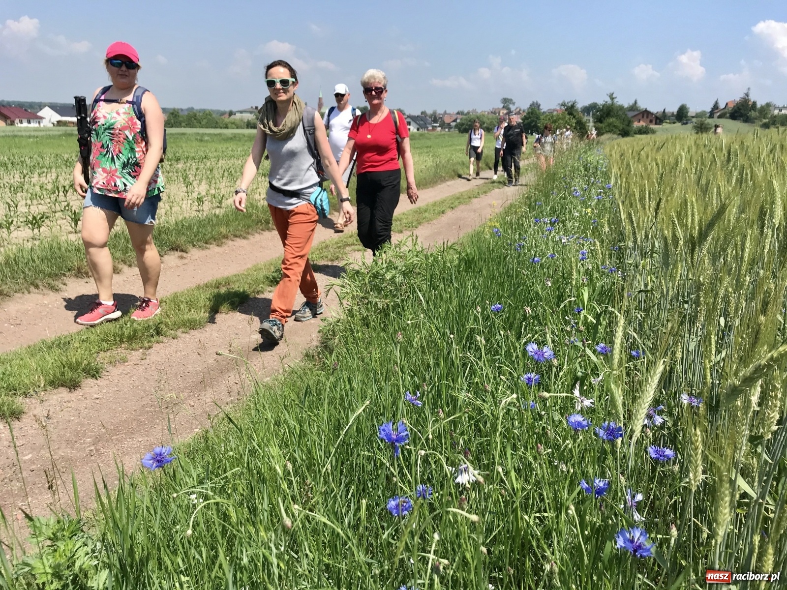 Zdjęcie w galerii na portalu naszraciborz.pl: Projekt Wędrówki po Ziemi Raciborskiej wystartował. Każdy może dołączyć!  wiadomości z regionu