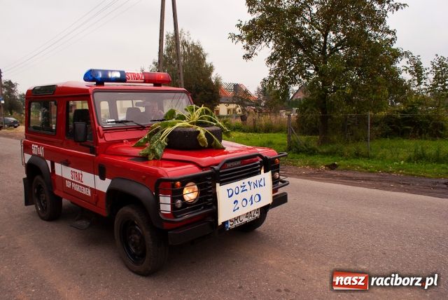Zdjęcie w galerii na portalu naszraciborz.pl: Bo przyjaciołom się UFO wiadomości z regionu