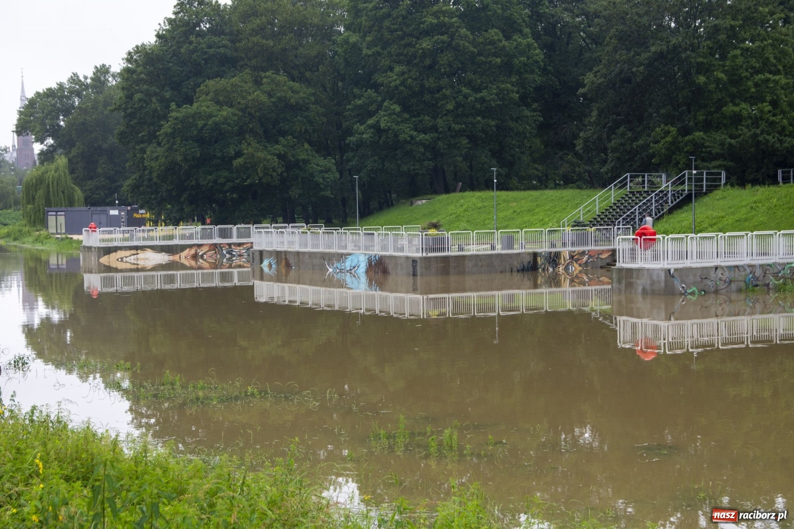 Zdjęcie w galerii na portalu naszraciborz.pl: Wojewoda zarządził pogotowie przeciwpowodziowe. Odra w Raciborzu w południe 21.06.2020 wiadomości z regionu