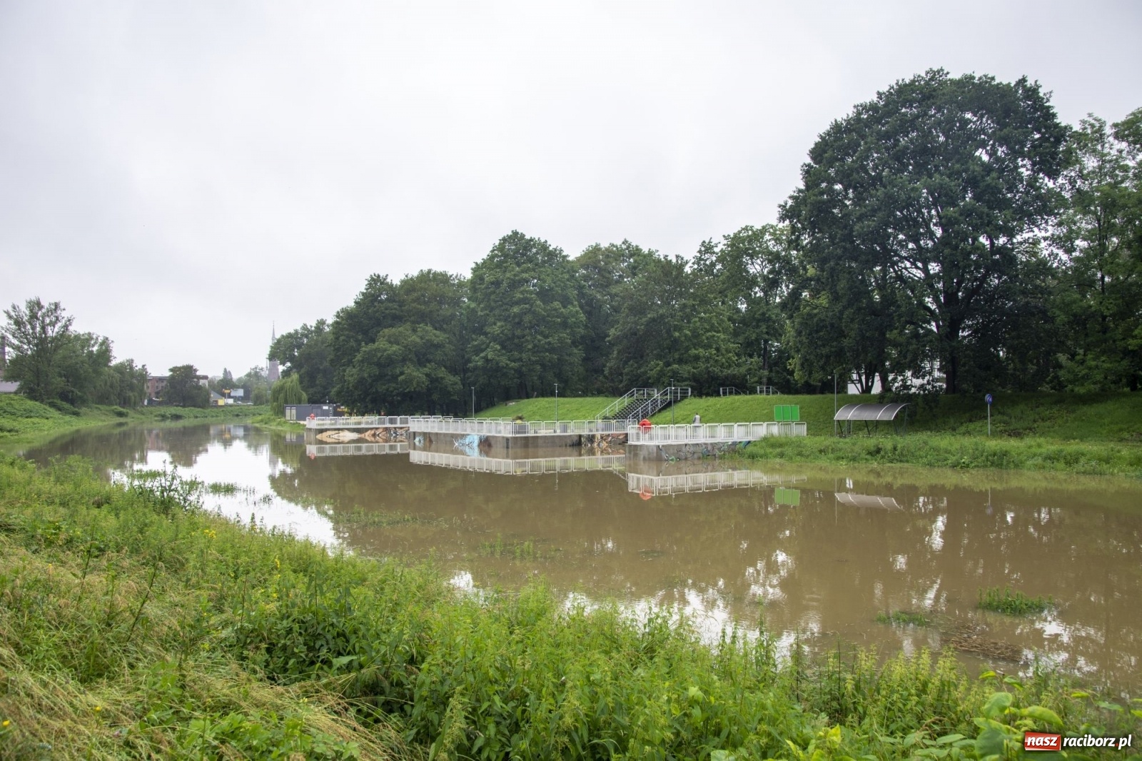 Zdjęcie w galerii na portalu naszraciborz.pl: Wojewoda zarządził pogotowie przeciwpowodziowe. Odra w Raciborzu w południe 21.06.2020 wiadomości z regionu