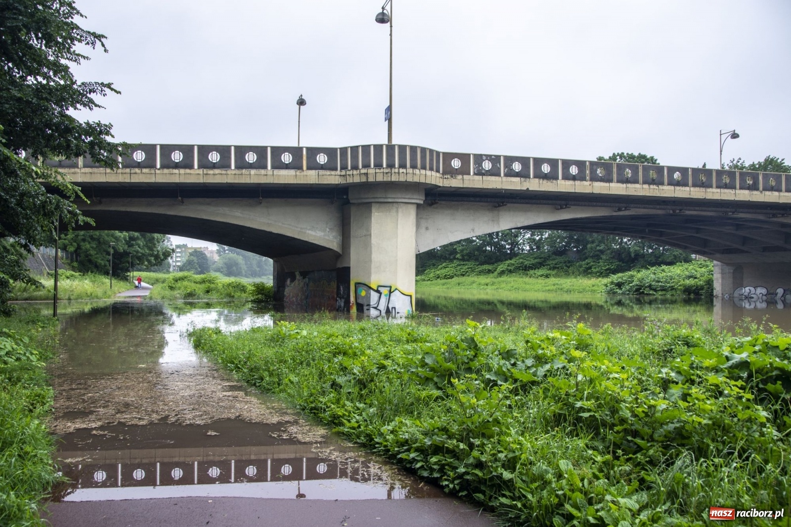 Zdjęcie w galerii na portalu naszraciborz.pl: Wojewoda zarządził pogotowie przeciwpowodziowe. Odra w Raciborzu w południe 21.06.2020 wiadomości z regionu