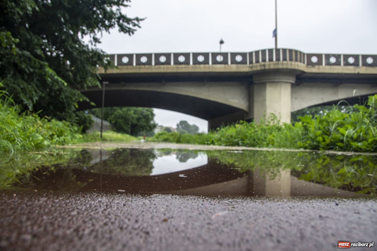 Zdjęcie w galerii na portalu naszraciborz.pl: Wojewoda zarządził pogotowie przeciwpowodziowe. Odra w Raciborzu w południe 21.06.2020 wiadomości z regionu