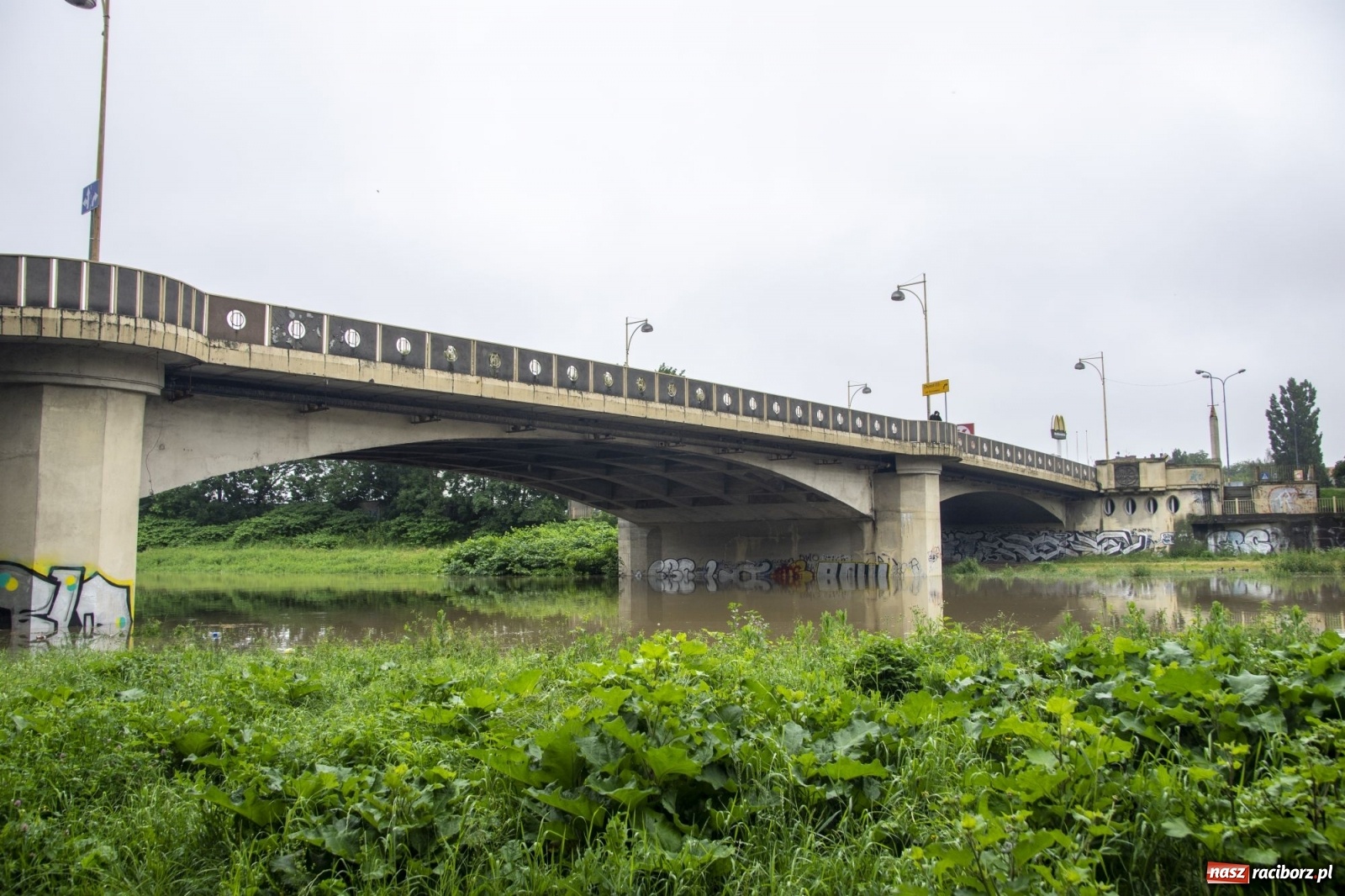 Zdjęcie w galerii na portalu naszraciborz.pl: Wojewoda zarządził pogotowie przeciwpowodziowe. Odra w Raciborzu w południe 21.06.2020 wiadomości z regionu