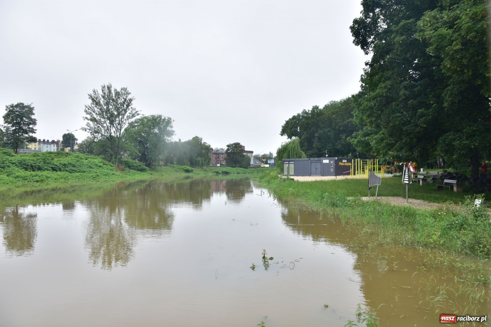Zdjęcie w galerii na portalu naszraciborz.pl: Wojewoda zarządził pogotowie przeciwpowodziowe. Odra w Raciborzu w południe 21.06.2020 wiadomości z regionu