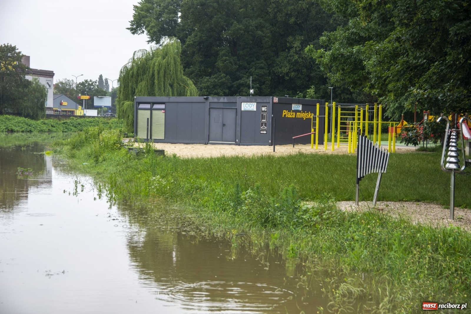 Zdjęcie w galerii na portalu naszraciborz.pl: Wojewoda zarządził pogotowie przeciwpowodziowe. Odra w Raciborzu w południe 21.06.2020 wiadomości z regionu