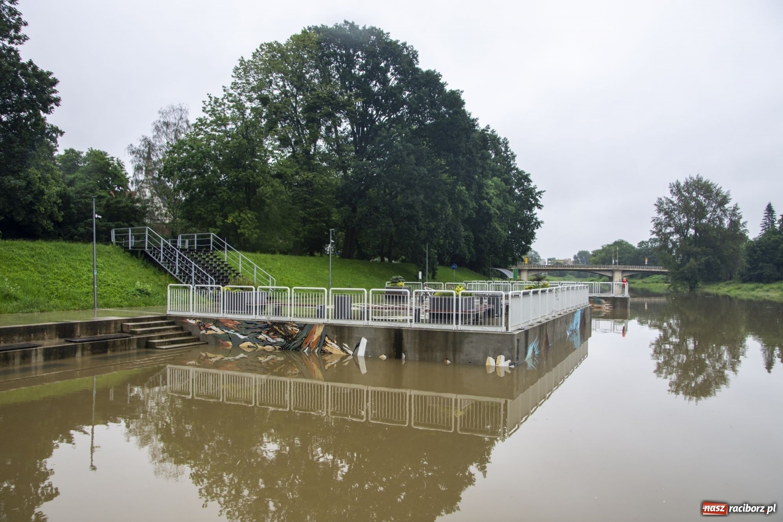 Zdjęcie w galerii na portalu naszraciborz.pl: Wojewoda zarządził pogotowie przeciwpowodziowe. Odra w Raciborzu w południe 21.06.2020 wiadomości z regionu