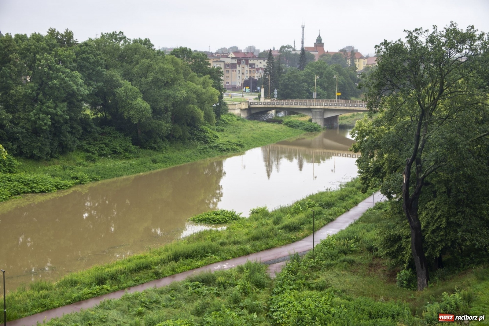 Zdjęcie w galerii na portalu naszraciborz.pl: Wojewoda zarządził pogotowie przeciwpowodziowe. Odra w Raciborzu w południe 21.06.2020 wiadomości z regionu