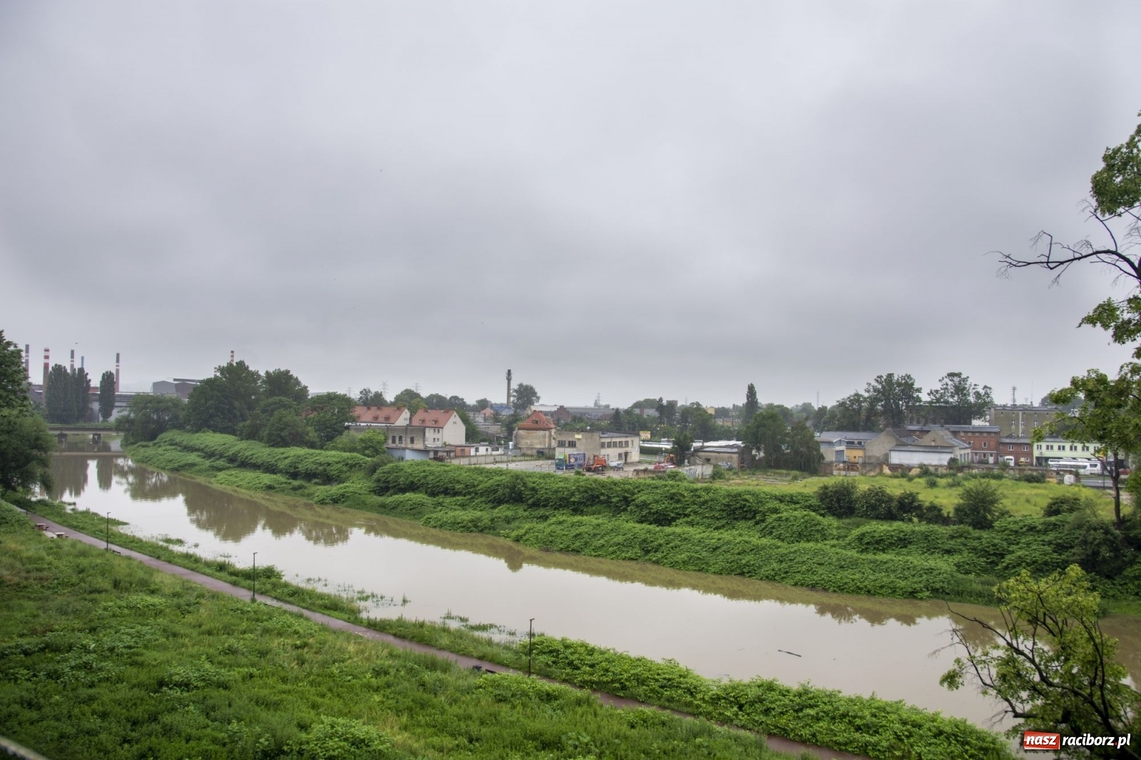 Zdjęcie w galerii na portalu naszraciborz.pl: Wojewoda zarządził pogotowie przeciwpowodziowe. Odra w Raciborzu w południe 21.06.2020 wiadomości z regionu