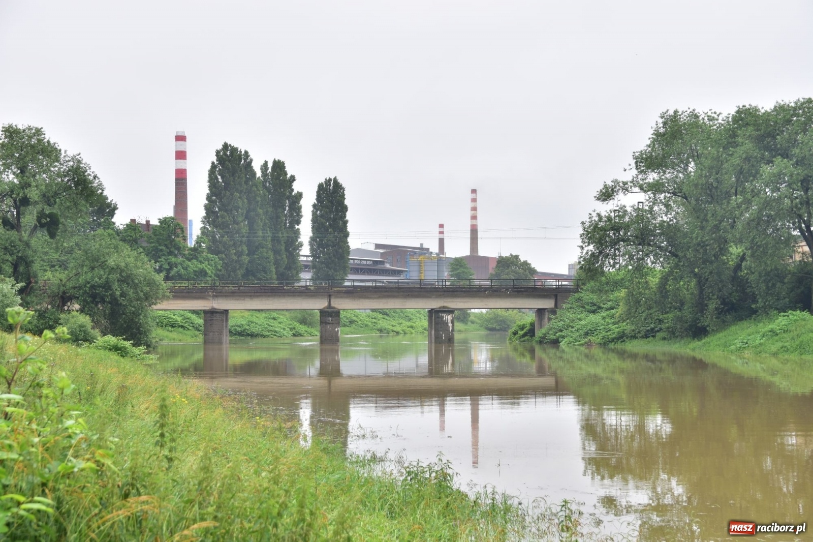 Zdjęcie w galerii na portalu naszraciborz.pl: Wojewoda zarządził pogotowie przeciwpowodziowe. Odra w Raciborzu w południe 21.06.2020 wiadomości z regionu