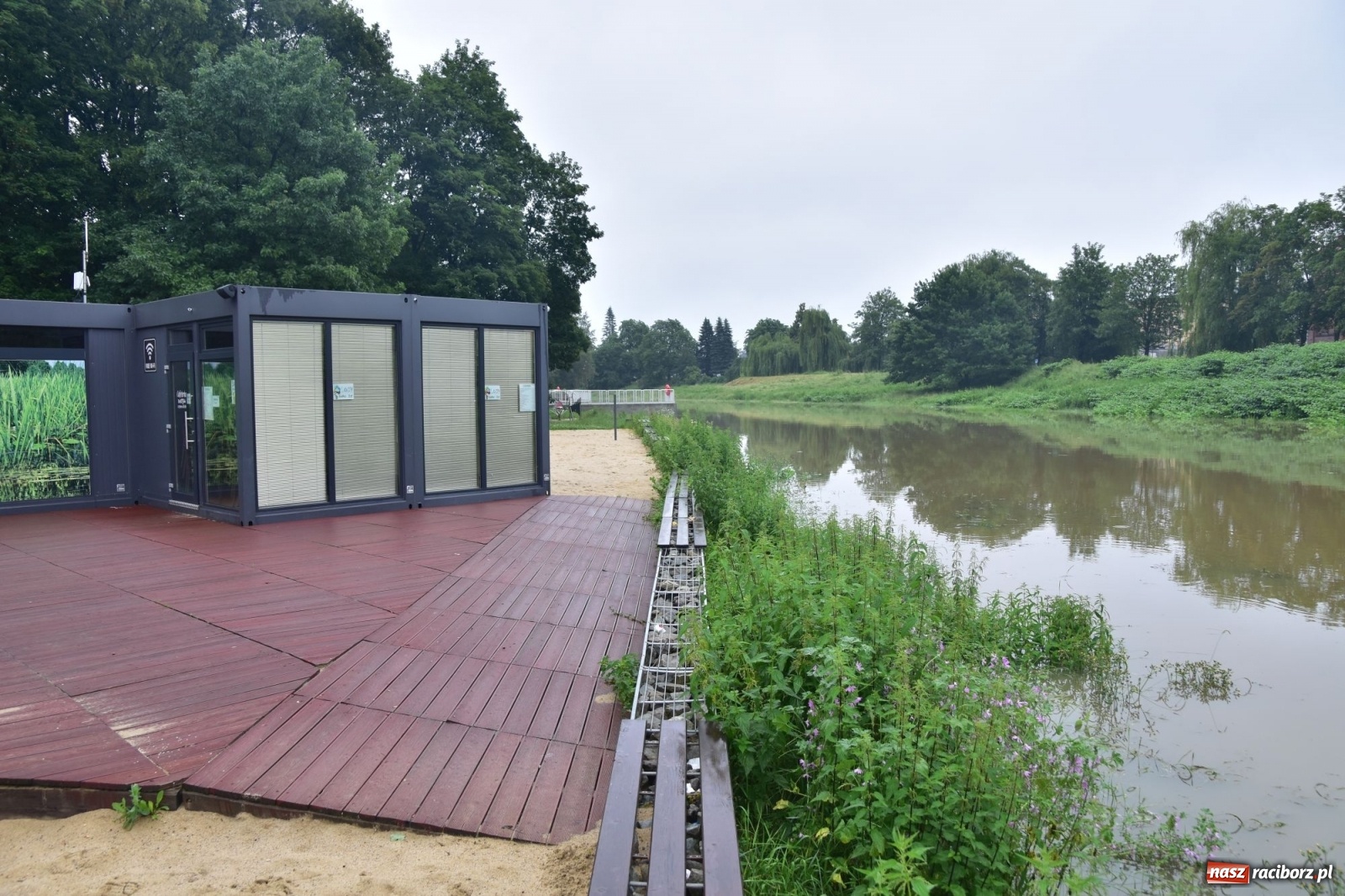 Zdjęcie w galerii na portalu naszraciborz.pl: Wojewoda zarządził pogotowie przeciwpowodziowe. Odra w Raciborzu w południe 21.06.2020 wiadomości z regionu