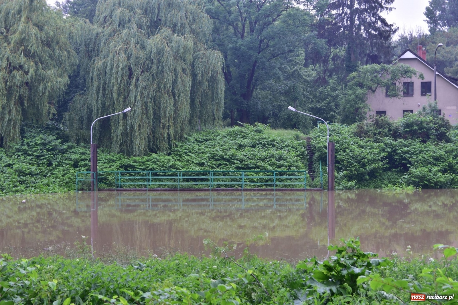 Zdjęcie w galerii na portalu naszraciborz.pl: Wojewoda zarządził pogotowie przeciwpowodziowe. Odra w Raciborzu w południe 21.06.2020 wiadomości z regionu