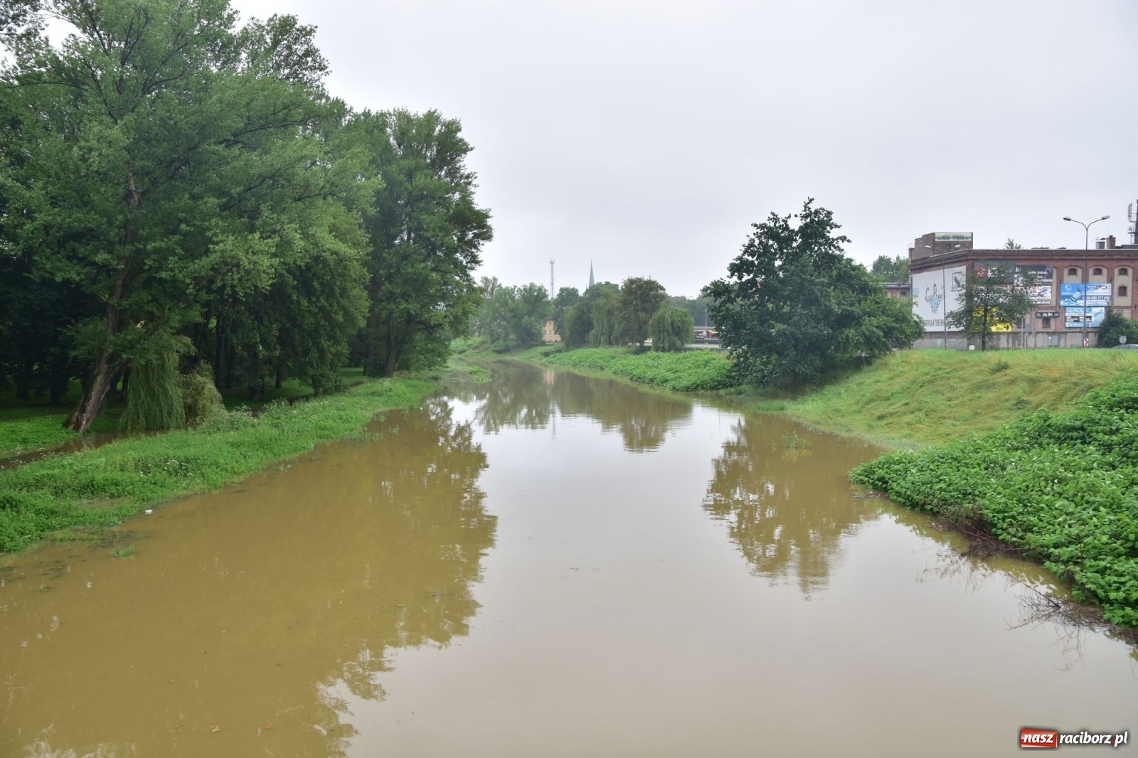 Zdjęcie w galerii na portalu naszraciborz.pl: Wojewoda zarządził pogotowie przeciwpowodziowe. Odra w Raciborzu w południe 21.06.2020 wiadomości z regionu
